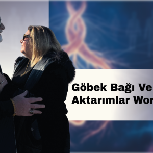 Kök Aktarımlar ve Göbek Bağını Dönüştür | DNA'nı Yeniden Kodla